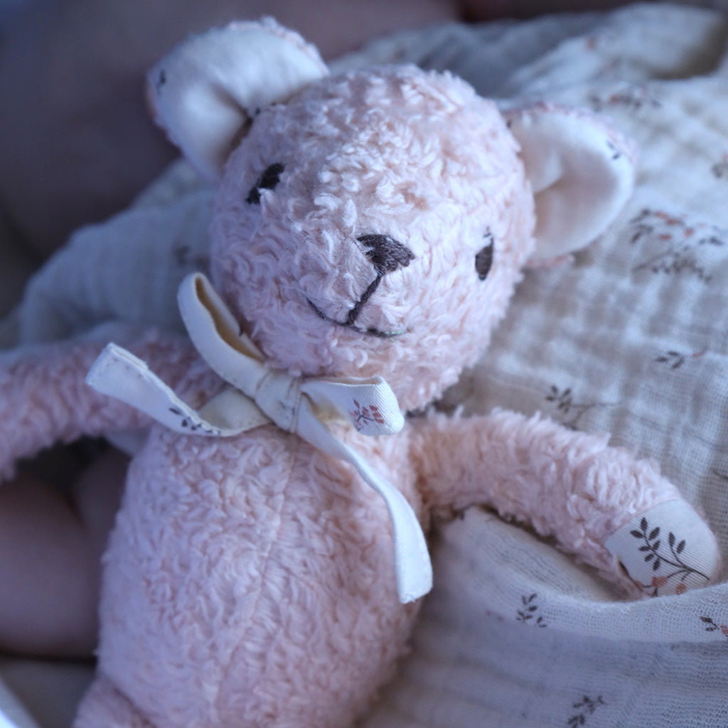 Teddy Bear - OCS Coral