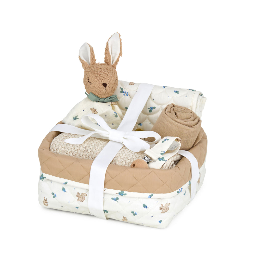 Babyshower Gavekurv - Blueberries