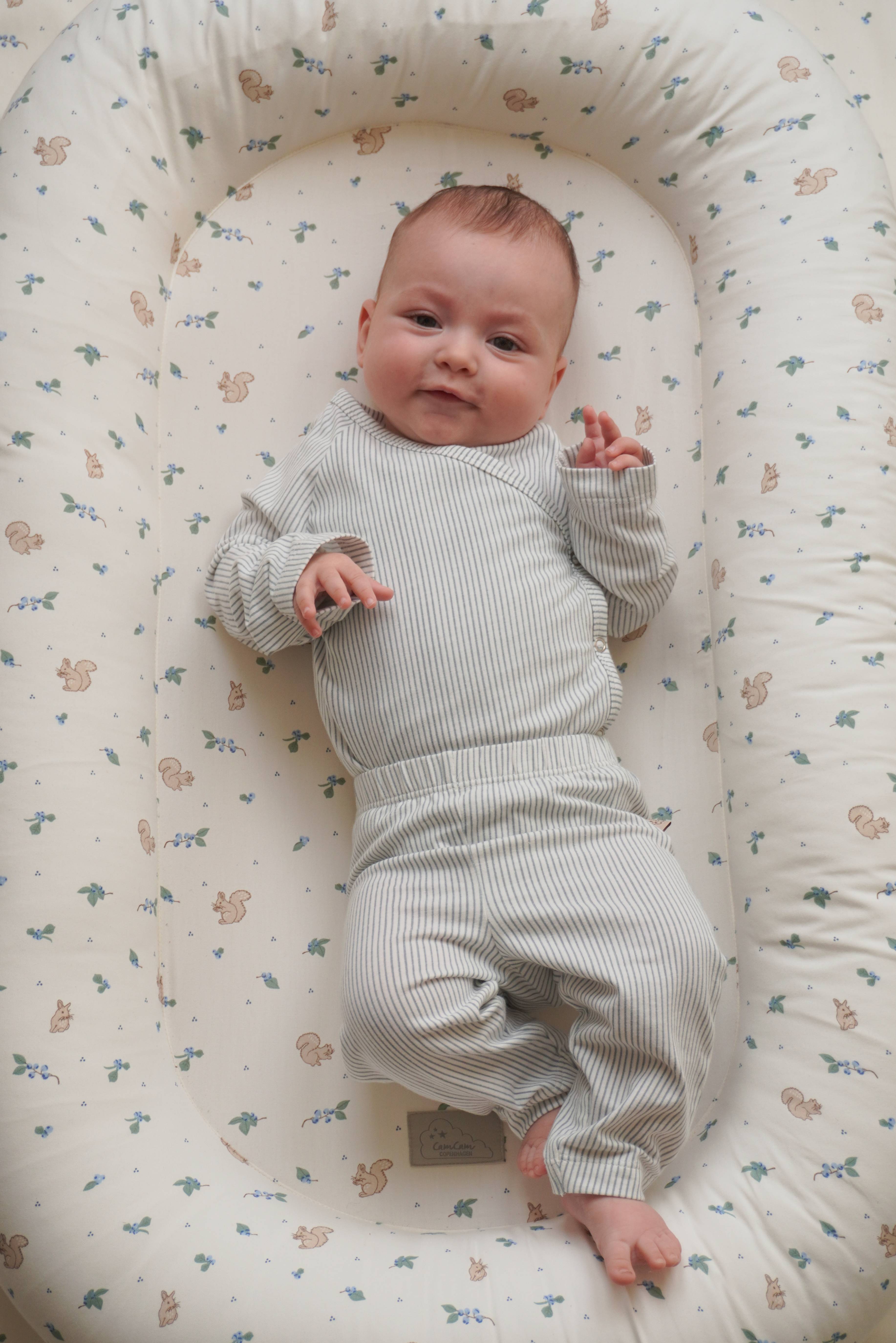 Babynest - OCS - Blueberries