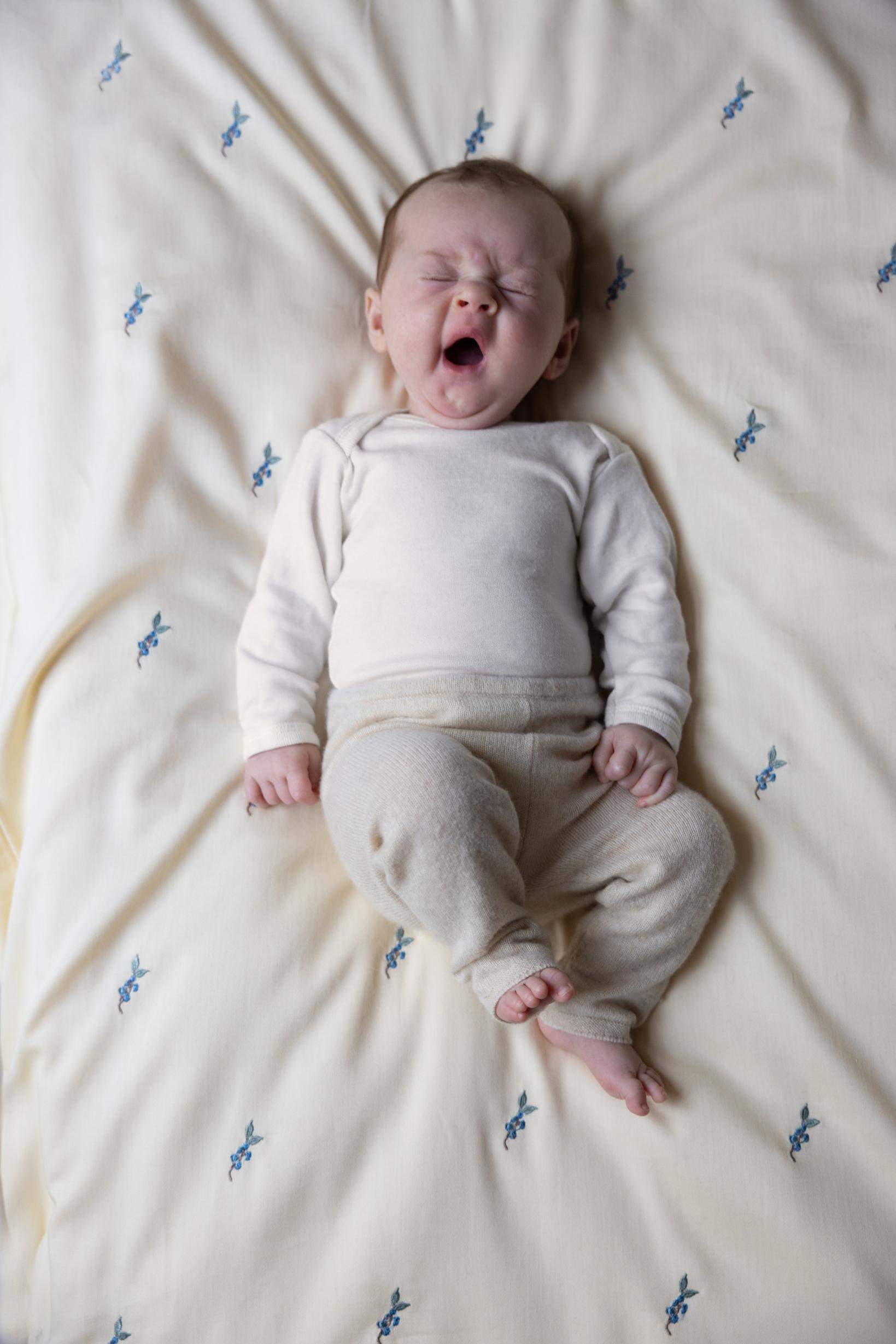 Embroidered Baby Bedding Set, 70x100cm - GOTS - Blueberries