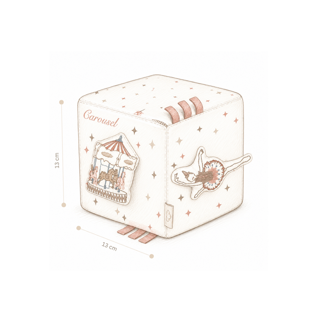 Aktivitetsterning - OCS - Carousel