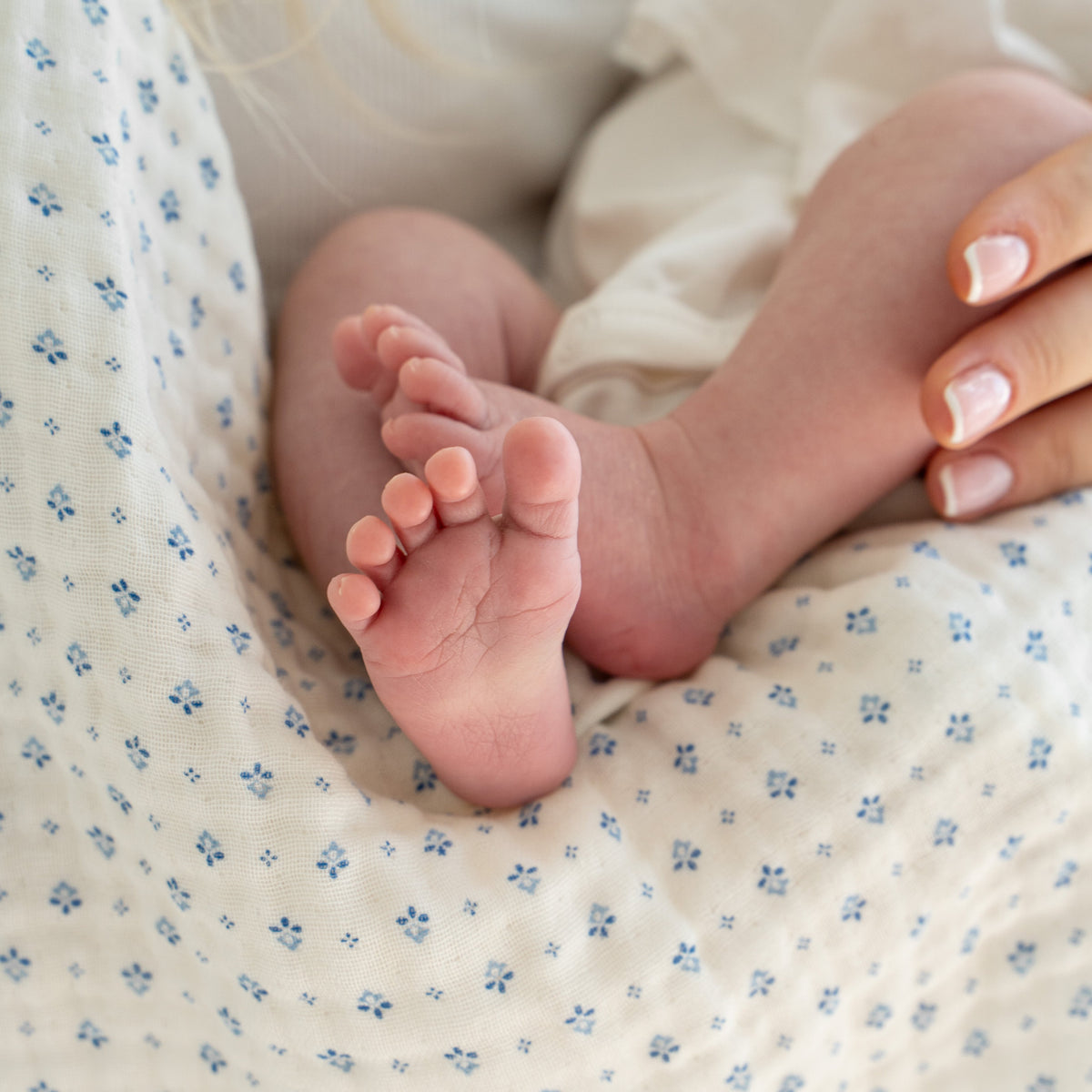 Muslin Babytæppe - GOTS - Caprice
