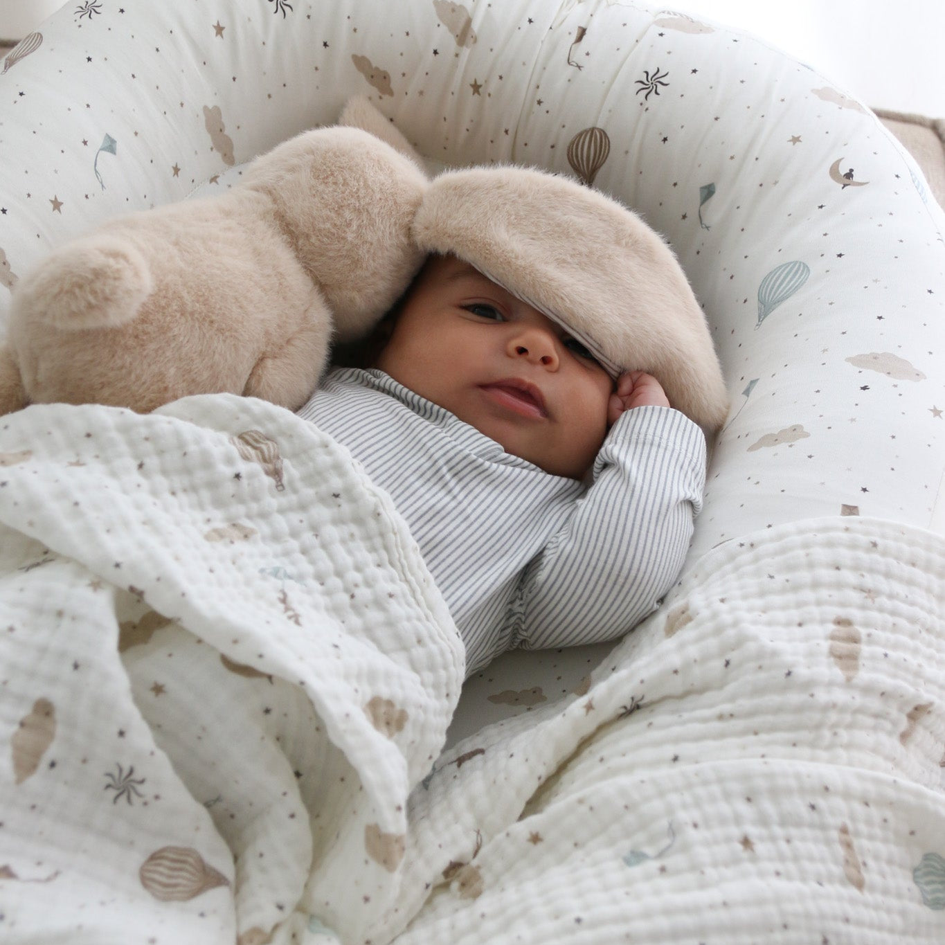 Babynest - OCS - Dreamland