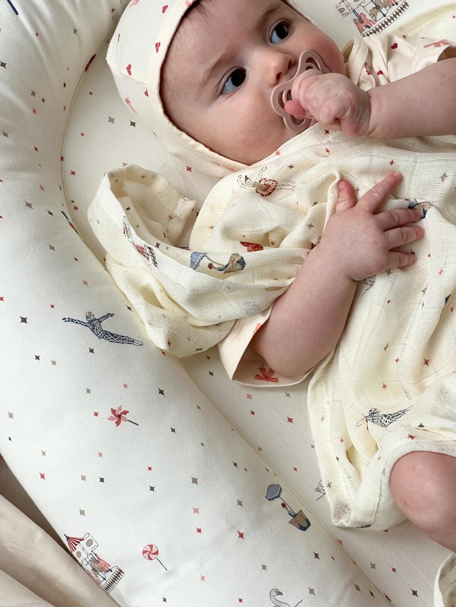 Muslin Cloth, Printed, 2-pack - GOTS - Carousel