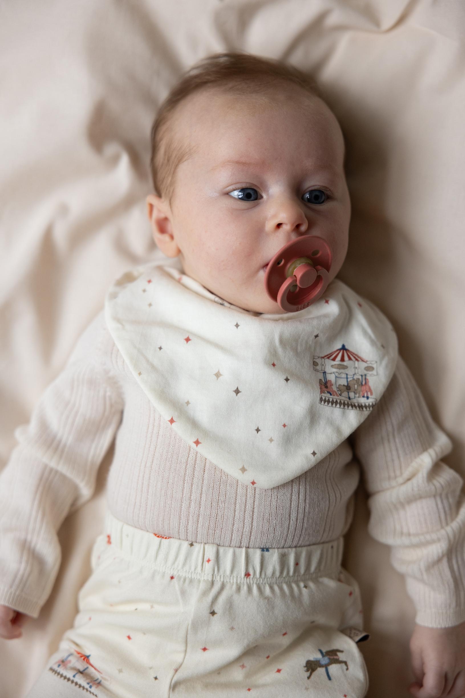 Bandana Bib, Jersey, 2-Pack - GOTS - Carousel