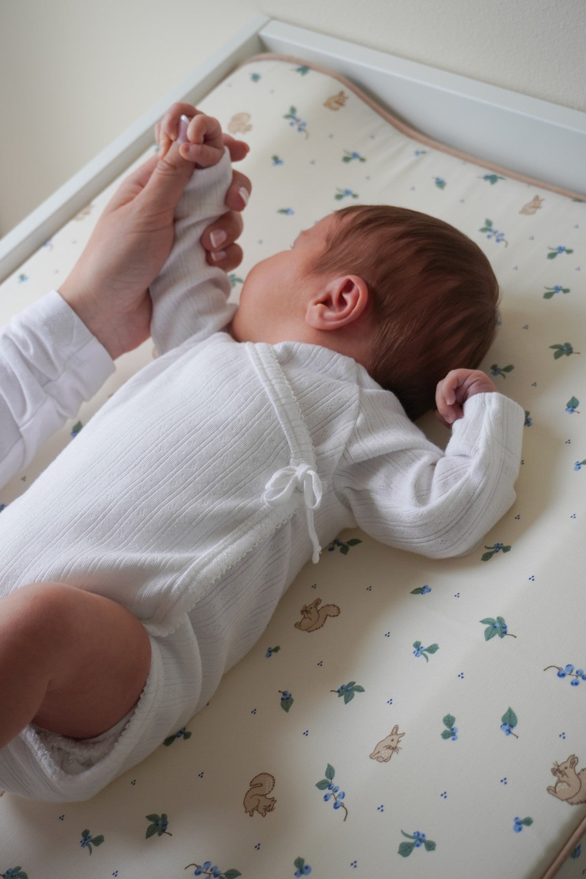 Puslepude - OCS - Blueberries