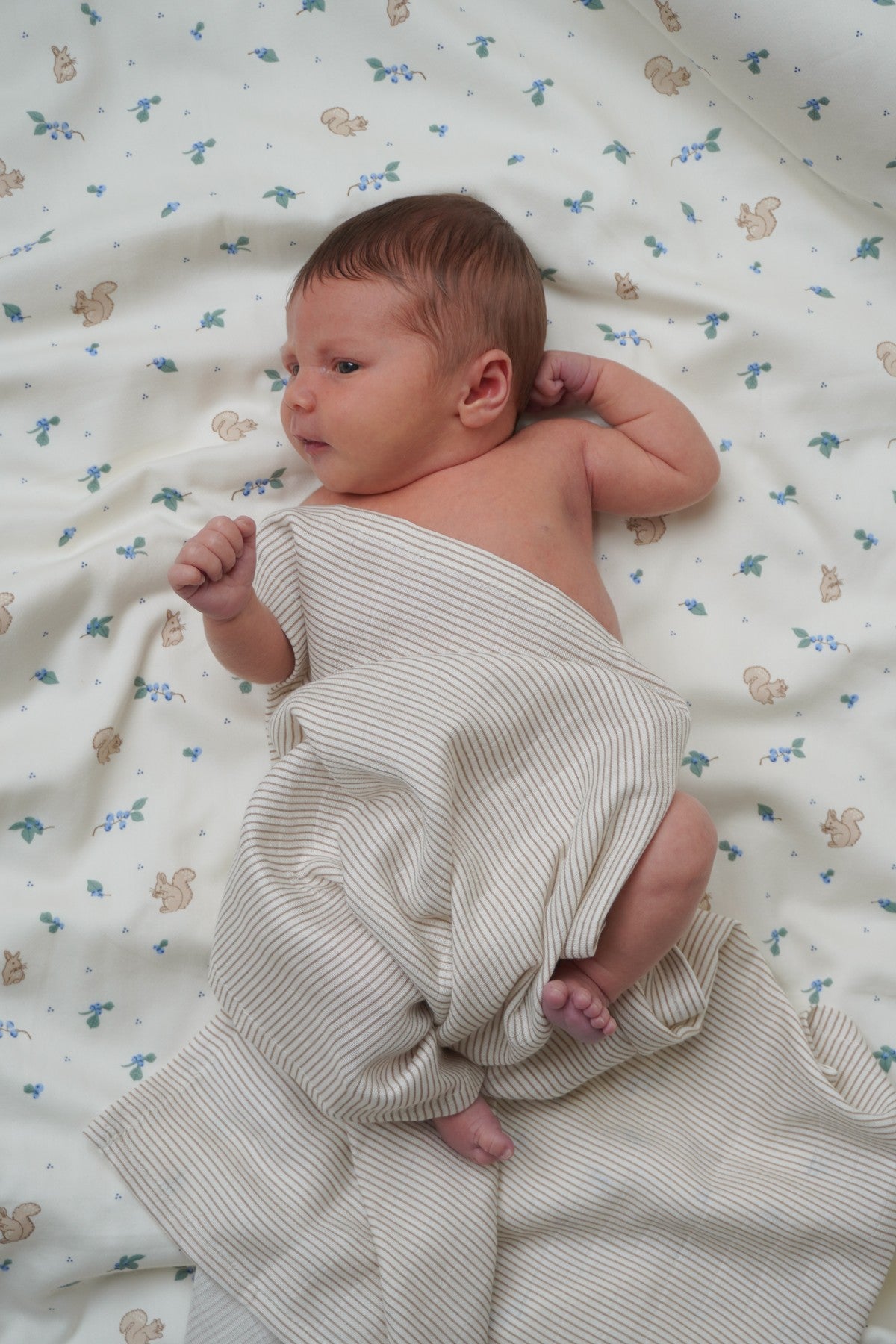 Bedding Set, Baby, 70x100cm - GOTS - Blueberries